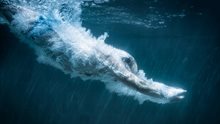 Human diving into water